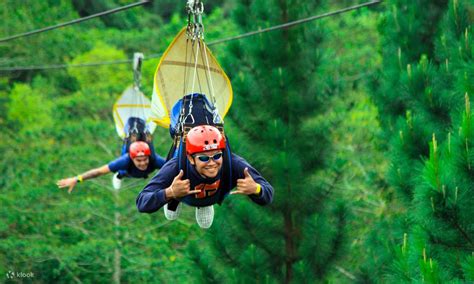Up to 10% Off | Dahilayan Adventure Park Ticket in Bukidnon - Klook India