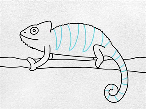 Simple Chameleon Drawing