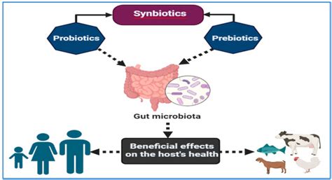 An Overview of the Public Health Challenges in Diagnosing and ...