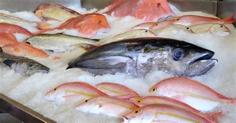 Image result for Filet Fish How To