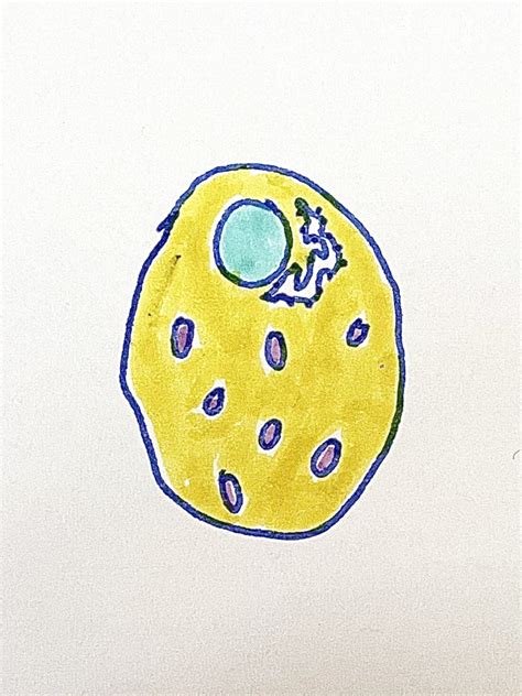 Animal Cell Biology 的图像结果