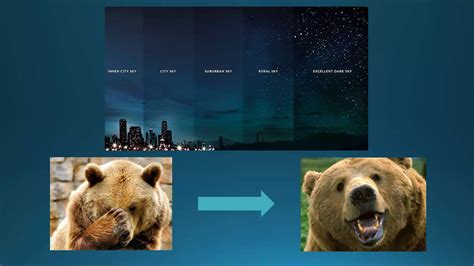 How light pollution affects wildlife | PPTX