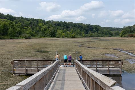 Lake Alice accidental drawdown: Chance to clear invasive plants?