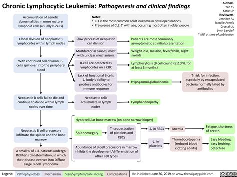 Chronic Lymphocytic Leukemia | Calgary Guide