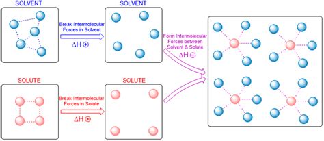 13.1 Solution Formation and Solubility - Chad's Prep®