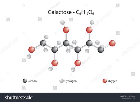 Galactose Chemical Structure