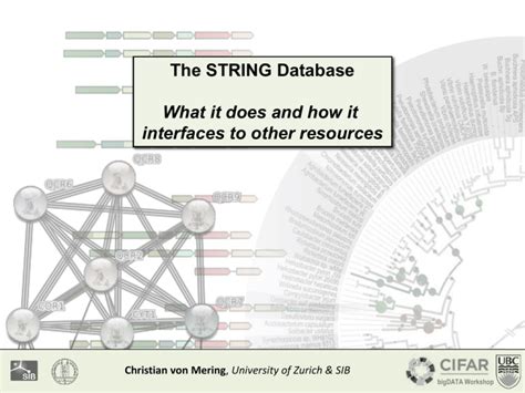 STRING Database Tutorial 的图像结果