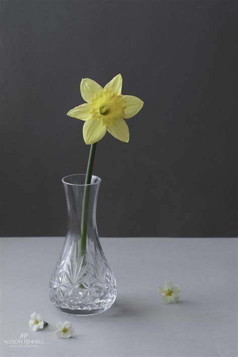 Still Life Photography Vase
