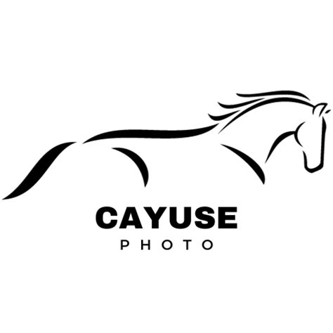 Image result for Cayuse Save Function
