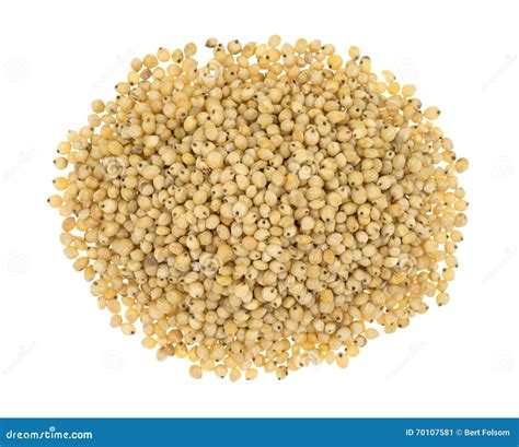 Whole Grain Sorghum Seeds on a White Background. Stock Image - Image of ...
