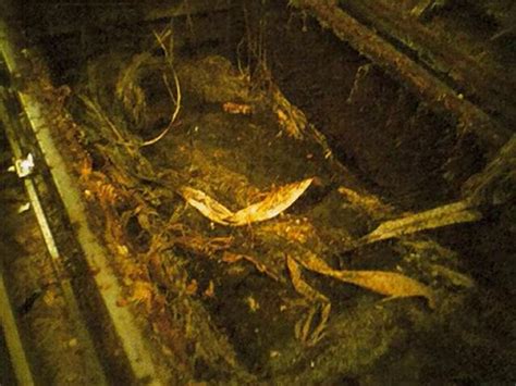 Embalmed Body Decomposition