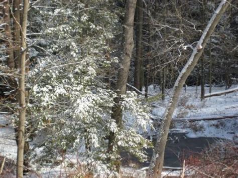 THE 5 BEST Places to Visit in Leechburg (2025) - Must-See Attractions