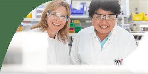 Process Development Engineer 的图像结果