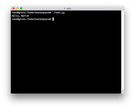 Image result for Python Run Application