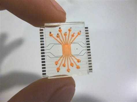 Microfluidic Chip 的图像结果