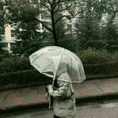拿雨伞的头像拿雨伞的人图片2022已更新今日资讯