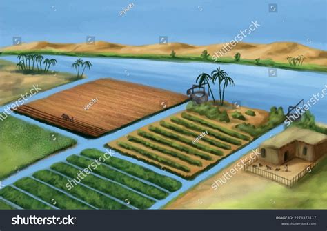 Irrigation Agriculture On Nile庫存向量圖（免版稅）2276375117 | Shutterstock