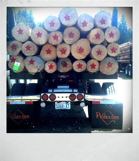 Image result for Logging Shows