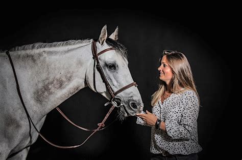 Image result for Communication Cheval