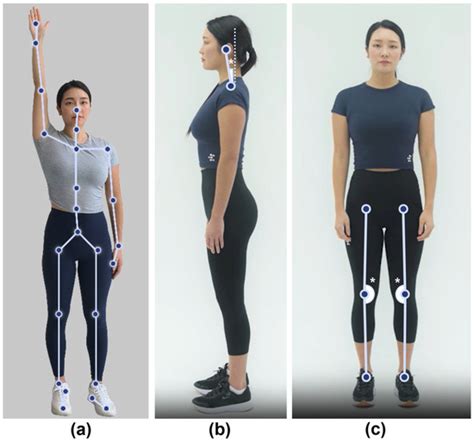 Validity and Reliability of an Artificial Intelligence-Based Posture ...