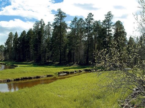 HD Landscape View 的图像结果