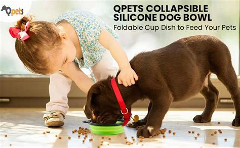 Qpets Collapsible Silicone Dog Bowl, Foldable Expandable Cup Dish For ...