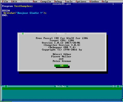 Pascal Software 的图像结果