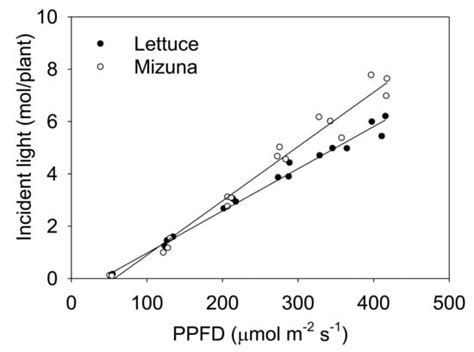 Canopy Size and Light Use Efficiency Explain Growth Differences between ...