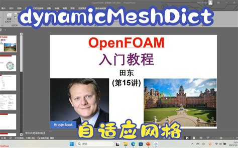 T3A Tutorial OpenFOAM 的图像结果