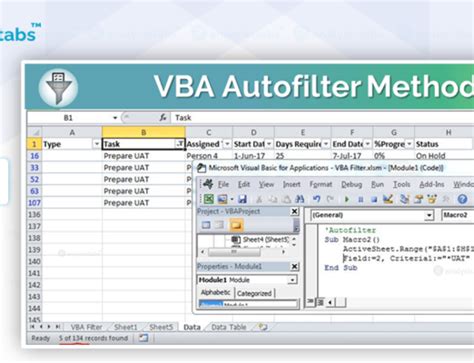 Image result for Filter VBA Code