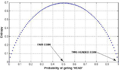 Entropy Numerical Example 的图像结果