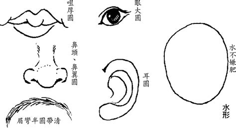 成涛掌相（5）生命线图解_手相算命_菲丽网