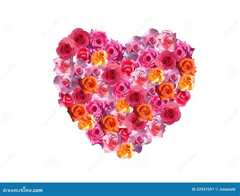 Rose hart stock image. Image of green, happiness, celebration - 22937597