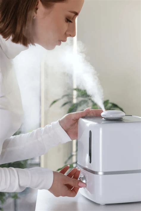 Image result for How a Humidifier Helps