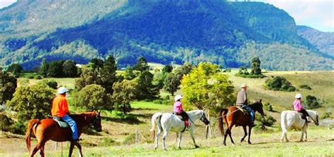 Hamilton Travel Guide 2026: Top Attractions, Things to Do & Deals ...