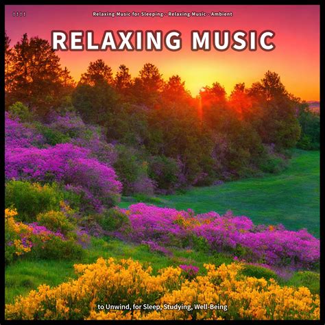 Subliminal RELAX Music 的图像结果