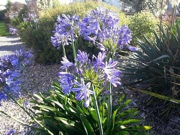 TEVIOT VIEW ACCOMMODATION (Amberley) - Guesthouse Reviews, Photos, Rate ...