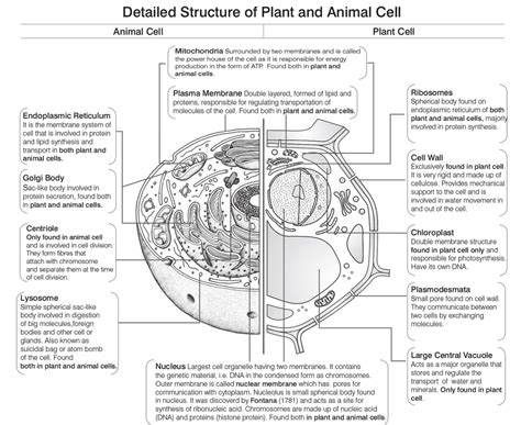 The Cell - General Awareness for SSC CGL PDF Download
