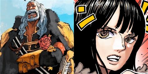 One Piece: Oda Finally Sets Up The Biggest Nico Robin Fight In History