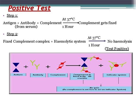 Image result for Complement-Fixation Test