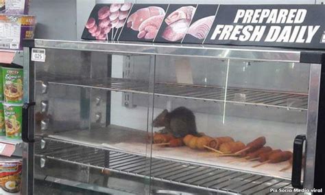 食物保温箱内惊现老鼠 7-11便利店向公众道歉