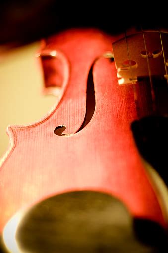 Image result for Classical String Instruments