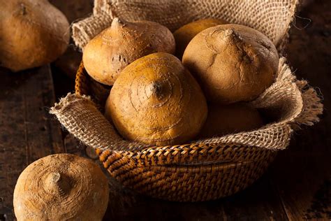 Can Chickens Eat Jicama? What you need to know