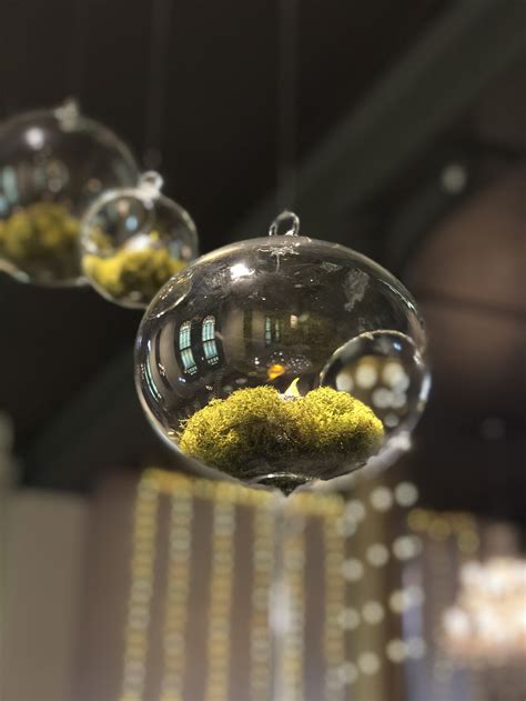 Image result for Event Programs Prinster In