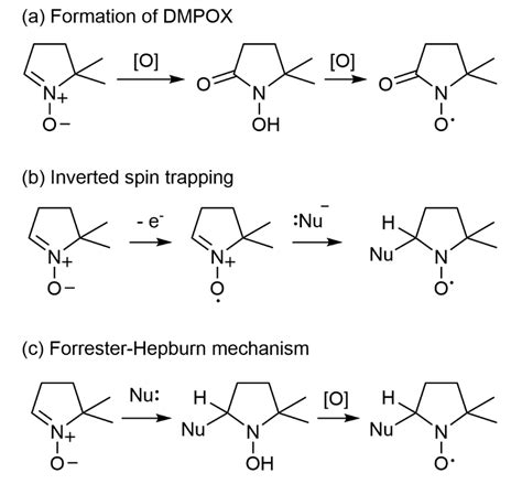 Electron Paramagnetic Resonance Spin Trapping (EPR–ST) Technique in ...