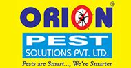 Top 11 Home Remedies to Get Rid of Termites | Orion Pest Solutions