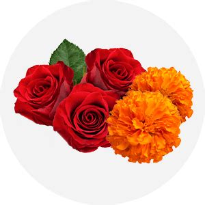 Buy Fresh Fruits & Vegetables online at best prices in India