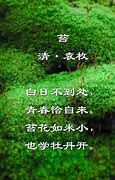 Image result for tammy 苔米