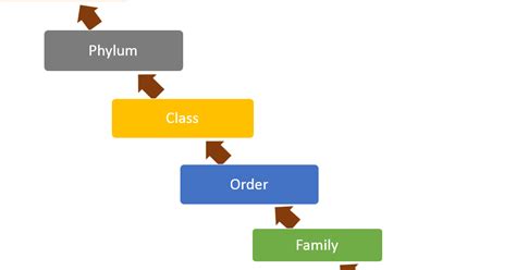 Taxonomic Categories, Taxonomical Aids