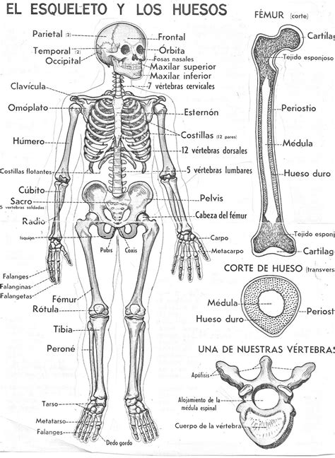 Image result for Statistical Mini Research Example